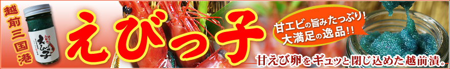 越前三国湊えびっ子