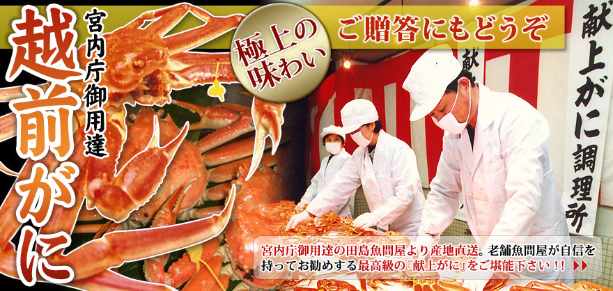 越前ガニ！田島魚問屋の献上級越前がにをご賞味下さい！！